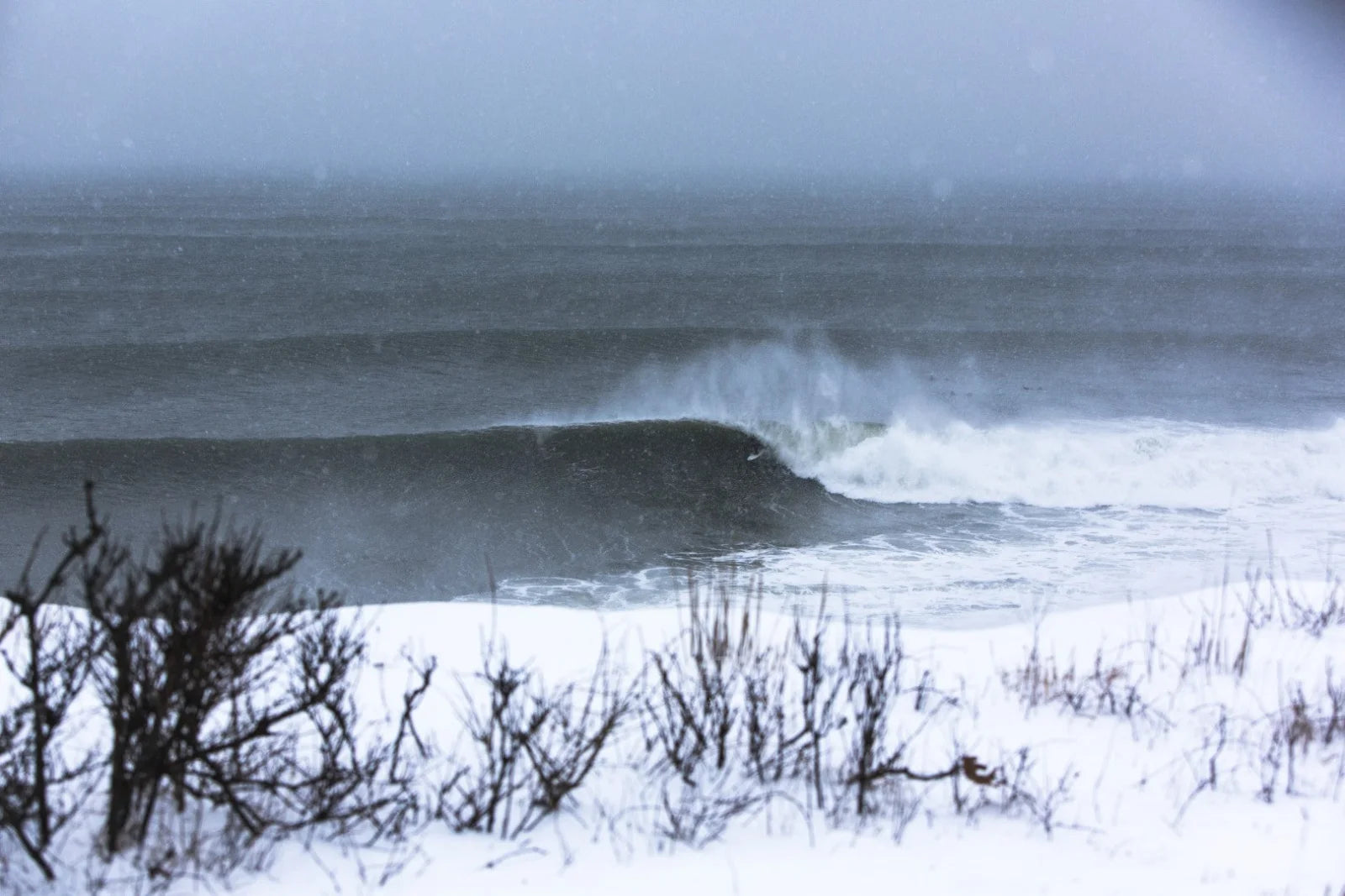 Juno Barrels